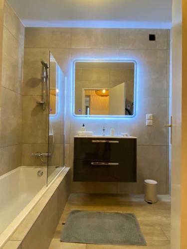 une salle de bain avec une baignoire, un lavabo et un miroir dans l'établissement LE PANORAMIQUE, à Annecy