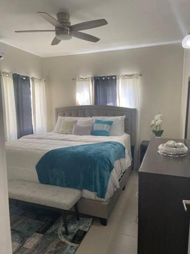 a bedroom with a bed and a ceiling fan at Natty’s Cozy Beach house in Hanover Jamaica in Point