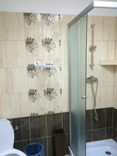 a bathroom with a shower and a toilet at Hostel Wiarus in Rzeszów