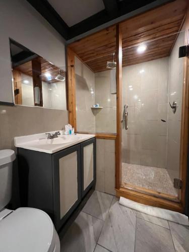 a bathroom with a shower and a sink and a toilet at Chateau Suites in Norristown