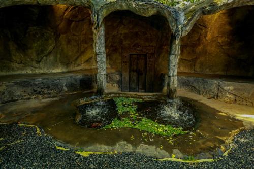 a room with a pool of water with a door at Kuruva Island Resort And Spa - By KABINI BREEZE in Mananthavady