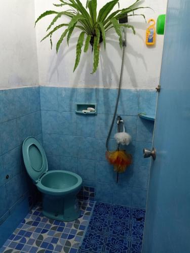 a bathroom with a green toilet and a plant at Sella Guest House in Banyuwangi