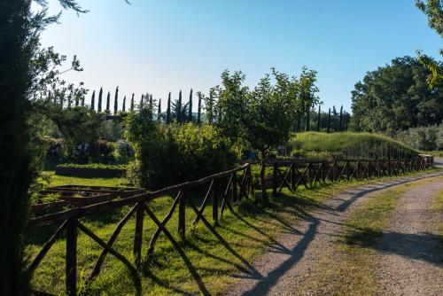 a road with a fence and some trees at Cuprena in Arezzo