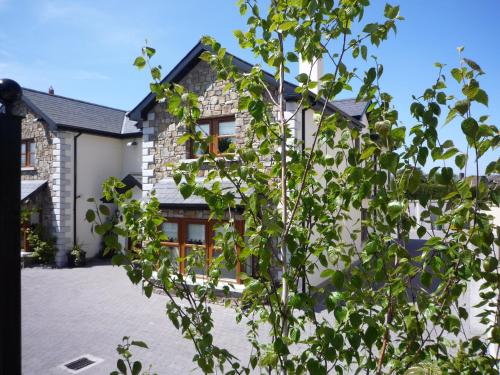 - une vue sur l'extérieur d'une maison avec un arbre dans l'établissement Avlon House Bed and Breakfast, à Carlow
