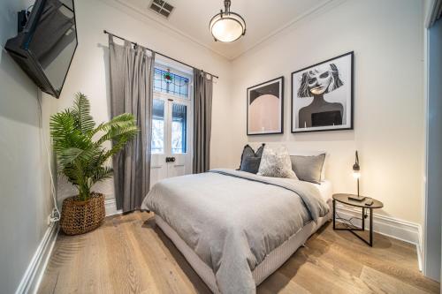 a bedroom with a bed and a potted plant at Archer St Heart of North Adelaide Balcony 65TV in Adelaide