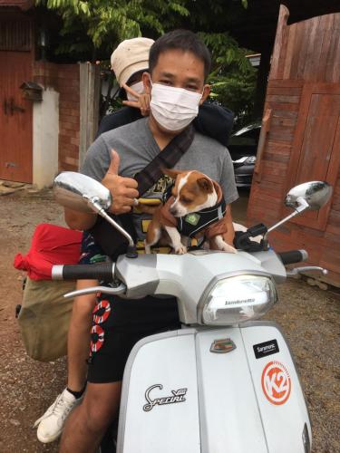 a man wearing a face mask while riding a scooter with a dog at Baan Mali Lampang Homestay in Lampang
