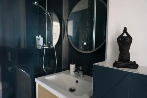 a bathroom with a sink and a mirror at Ultra centre - Certainement la plus belle vue de Pau in Pau