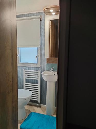 a bathroom with a sink and a toilet at The Avenue in Tattershall