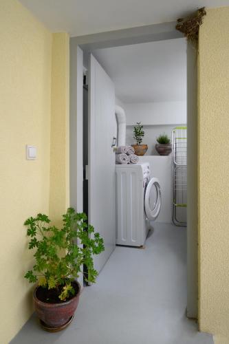 a hallway with a washing machine and potted plants at Niki Mountain House in Kamariótis