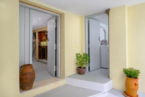a hallway with two potted plants in a house at Niki Mountain House in Kamariótis
