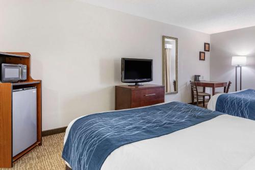 Gallery image of Comfort Inn Downtown - University Area in Kalamazoo