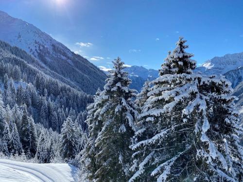 a group of trees covered in snow on a mountain at Relax & Vitalhotel Adler in Schruns-Tschagguns
