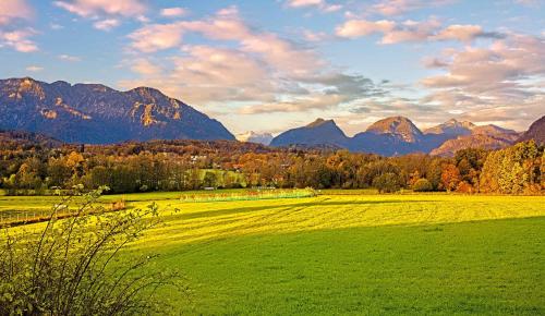 a green field with mountains in the background at Appartements Marianne in Grossgmain