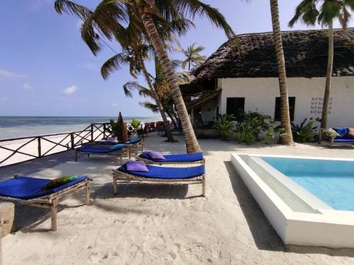 a resort on the beach with chairs and a swimming pool at Mamamapambo Boutique Hotel in Jambiani