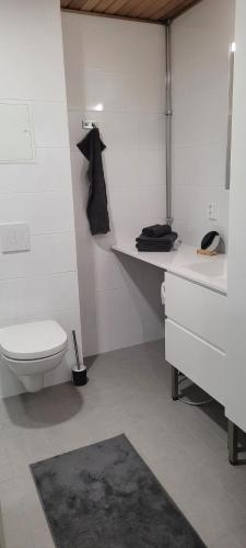 オウルにあるValjastehdasのトイレと洗面台を備えた白いバスルーム