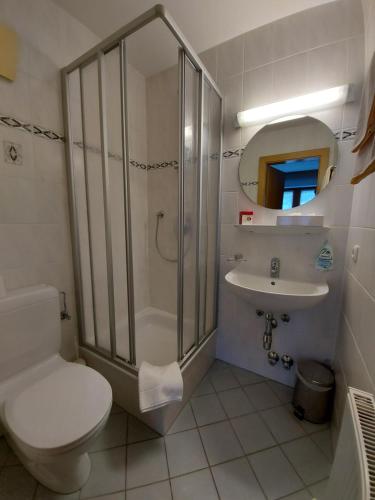 y baño con ducha, aseo y lavamanos. en Haus Monika und Haus Claudia, en Mayrhofen