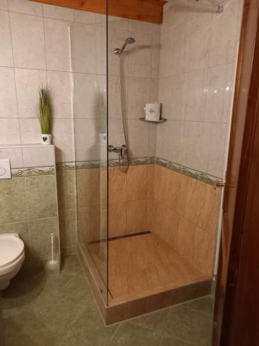 Kúpeľňa v ubytovaní Blum Pince - Borozó Vendégház