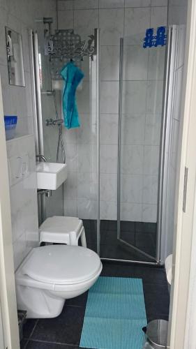 a bathroom with a shower and a toilet and a sink at Klinket Zoutelande in Zoutelande