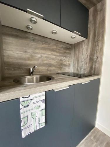 une cuisine avec un évier et un plan de travail dans l'établissement Studio de Jardin 