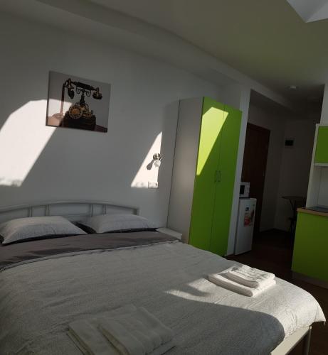 a bedroom with a bed and a green cabinet at Apartament 9 Budiu in Târgu-Mureş