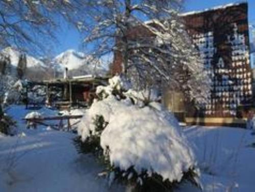 a tree covered in snow in front of a building at Chata Anna in Nižné Hágy