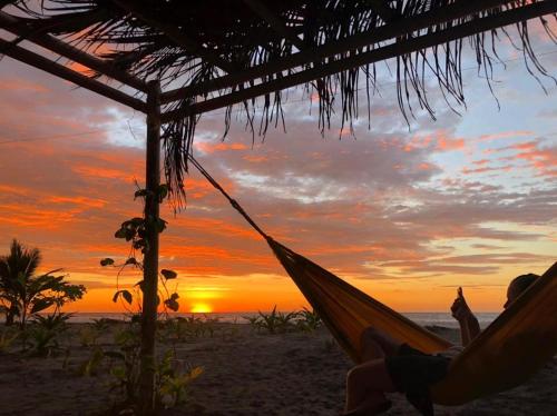 a man laying in a hammock on the beach at sunset at Seaside Garden Ecolodge Mompiche in Mompiche