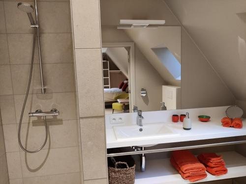 La salle de bains est pourvue d'un lavabo et d'une douche. dans l'établissement B&B De Zavelaar, à Heuvelland
