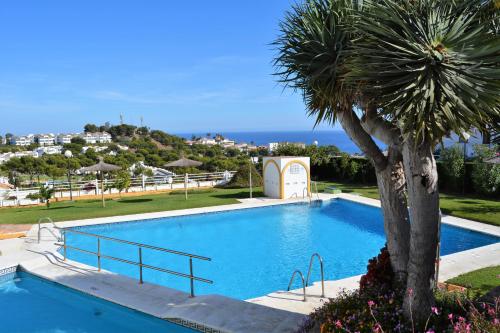 a large swimming pool with a palm tree next to it at Sea View Riviera- 4 bed apartment in Riviera del Sol with beautiful sea view! in La Cala de Mijas