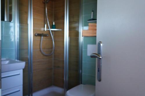 a bathroom with a shower with a toilet and a sink at Corso in Kühlungsborn