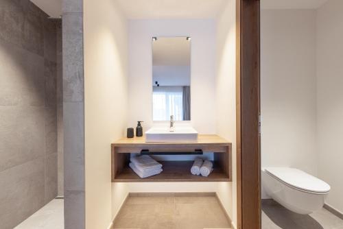 a bathroom with a sink and a toilet at Max Mountain Apartments in Neustift im Stubaital