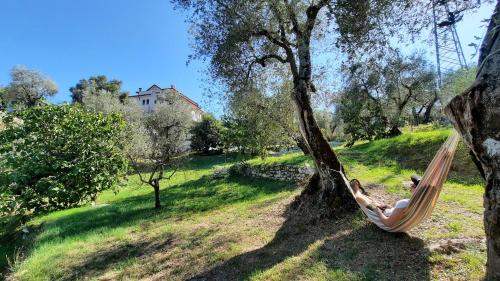 a person laying in a hammock under a tree at Casa Elisabetta ShortLets in Caposele