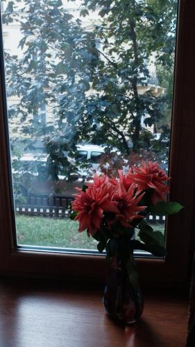リヴィウにあるCozy Apartment in the City Centerの窓枠に座る赤い花瓶