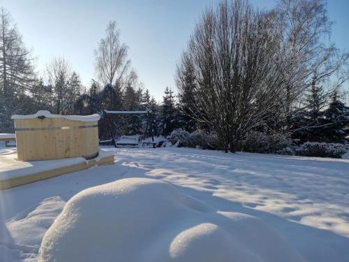 a yard covered in snow with trees in the background at Penzion Pastviny in Pastviny