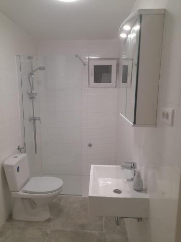 Apartments & Room Paula