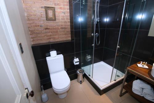 a bathroom with a shower and a toilet and a sink at New Voga Hotel Boutique in Valparaíso