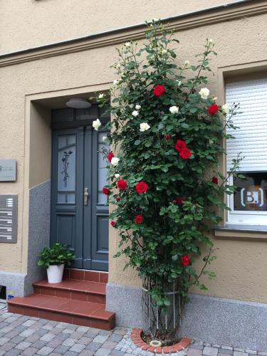 Gallery image of JETHON Familien-Appartement Nienburg in Nienburg