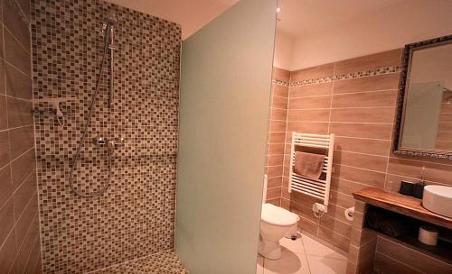 a bathroom with a shower and a toilet and a sink at Combrailleurs Gite in Espinasse