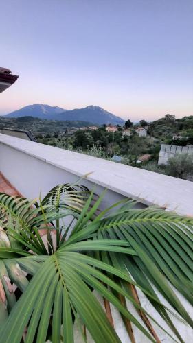 a green plant sitting on the side of a building at Casa Elisabetta ShortLets in Caposele