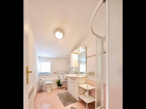 a bathroom with a sink and a toilet and a mirror at Apartment and Rooms Santini in Sveti Filip i Jakov