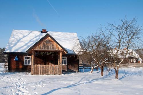 Cabaña de madera con nieve en el suelo y árboles en Chata Latoś, en Tocznabiel