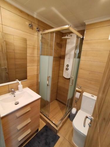 a bathroom with a shower and a toilet and a sink at Studio Arquitecto in Torrevieja
