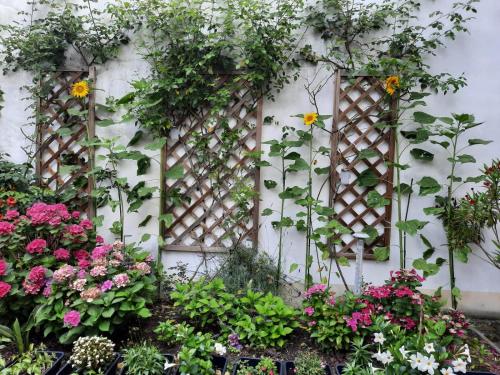 a garden with flowers on a white wall at Wohnen beim Uswatta Liyanage in Troisdorf