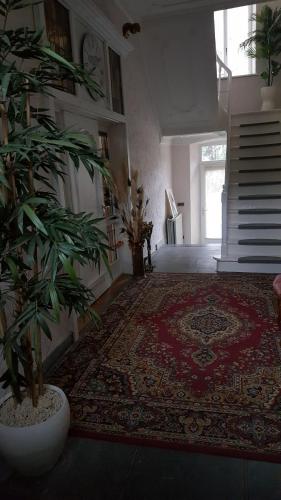 a hallway with two potted plants and a rug at die alte schule-studio in Alfersteg