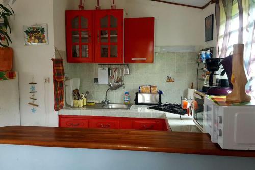 a kitchen with red cabinets and a sink at Le petit nid vanillé in Sainte-Marie