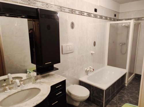 uma casa de banho com um lavatório, um WC e um chuveiro em Apartment "Casa Maya" em Mezzana