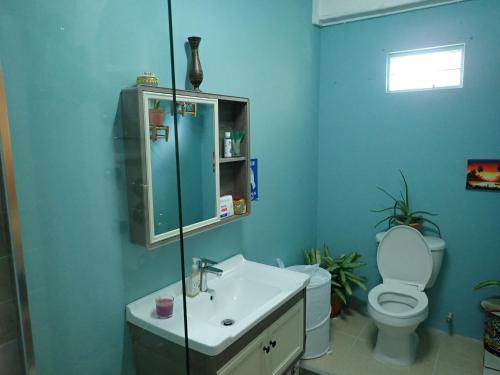 a blue bathroom with a toilet and a sink at Urban Oasis Apartment in Castries