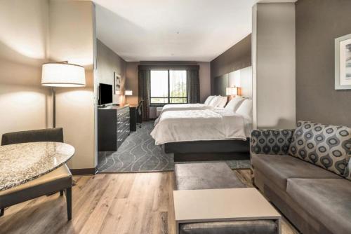une chambre d'hôtel avec un lit et un canapé dans l'établissement Holiday Inn Hotel & Suites Silicon Valley – Milpitas, an IHG Hotel, à Milpitas