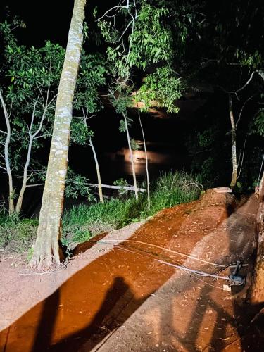 a monkey walking down a dirt road next to trees at Sunrise of Tambopata in Puerto Maldonado