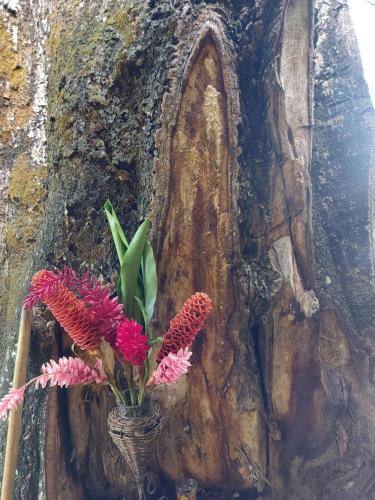 a vase with flowers in front of a tree at ECO HOTEL LACHUA in Cobán