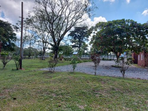 a group of trees in a field with a fence at ECO HOTEL LACHUA in Cobán